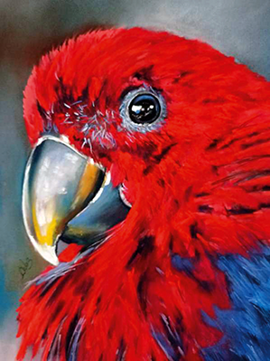 Artes – Duas novas mostras no Baú de Memórias de Alfeizerão