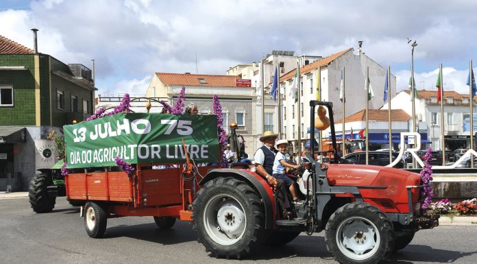 Assinalados 50 anos do Dia do Agricultor Livre