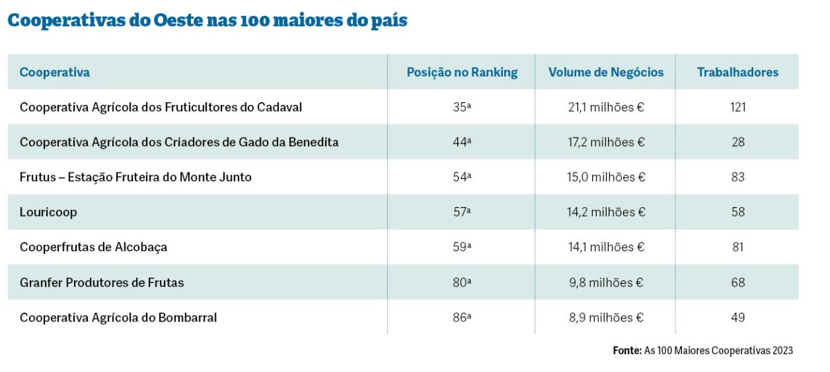Oeste tem 11 cooperativas no estudo das maiores do país