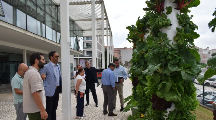 OesteCIM inaugura horta vertical sustentável nas Caldas