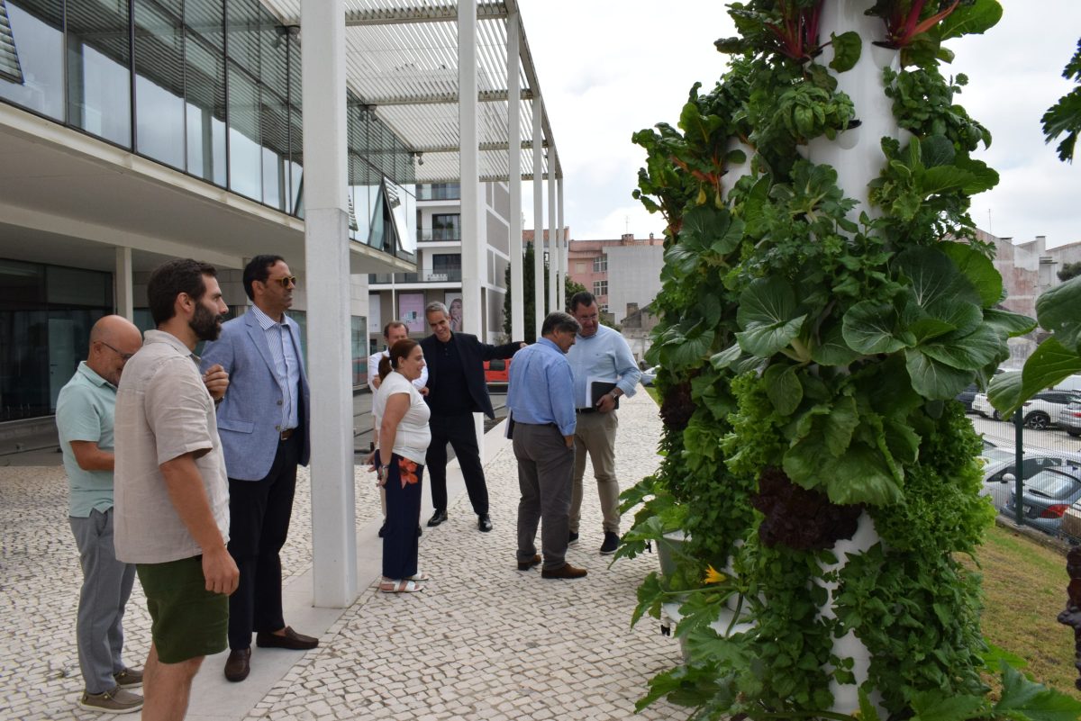 OesteCIM inaugura horta vertical sustentável nas Caldas