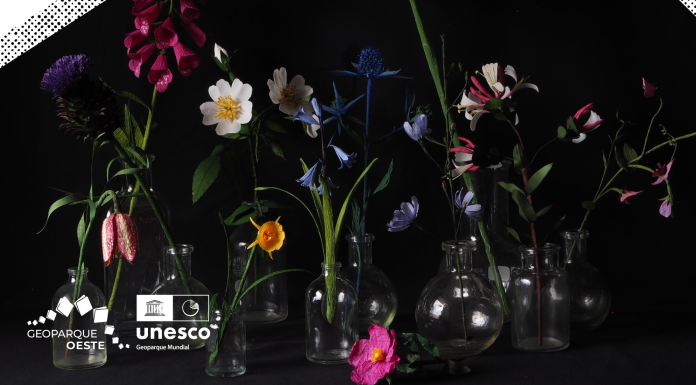 CIGO acolhe exposição “Flores da Arrocha” de Constança Cabral