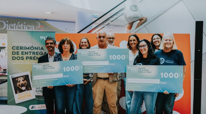 Dezena e meia de patudos foram adotados e instituições premiadas