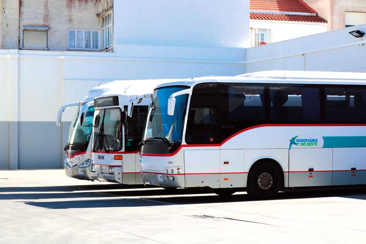 Gratuitidade nos transportes tem um custo anual estimado de 13 milhões