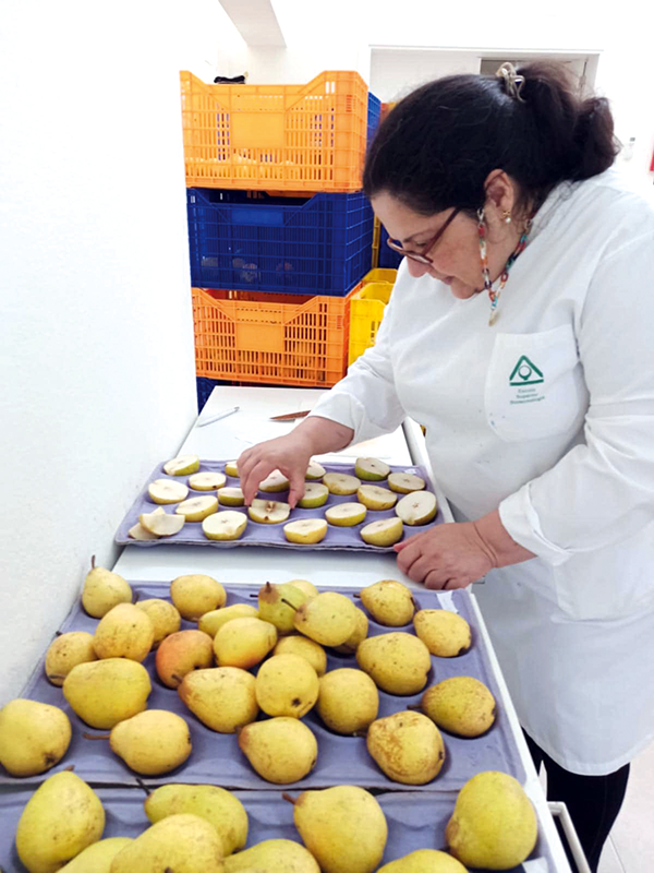 Ana Cristina Rodrigues, uma bióloga que está a criar gomas que previnem cáries