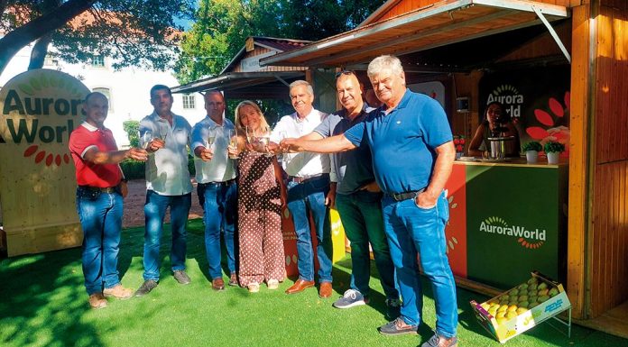 Aurora World criada para potenciar a exportação de fruta