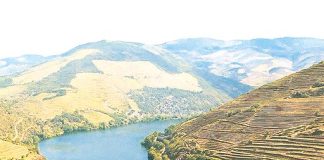 Carrinha Tanganho vai ser apresentada esta sexta no Centro de Artes