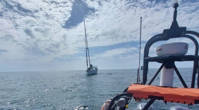 Estação Salva-vidas de Peniche auxilia veleiro após ataque de orcas