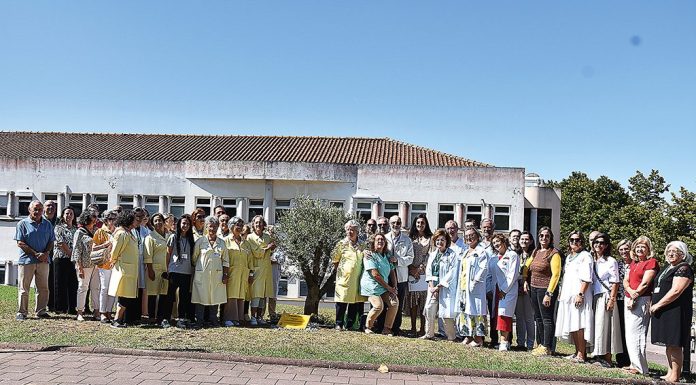 Plantada oliveira que representa a “resiliência” do SNS