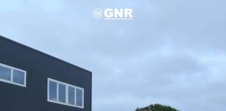 GNR encontrou 69 imigrantes a dormir em tendas na apanha da pera no Cadaval