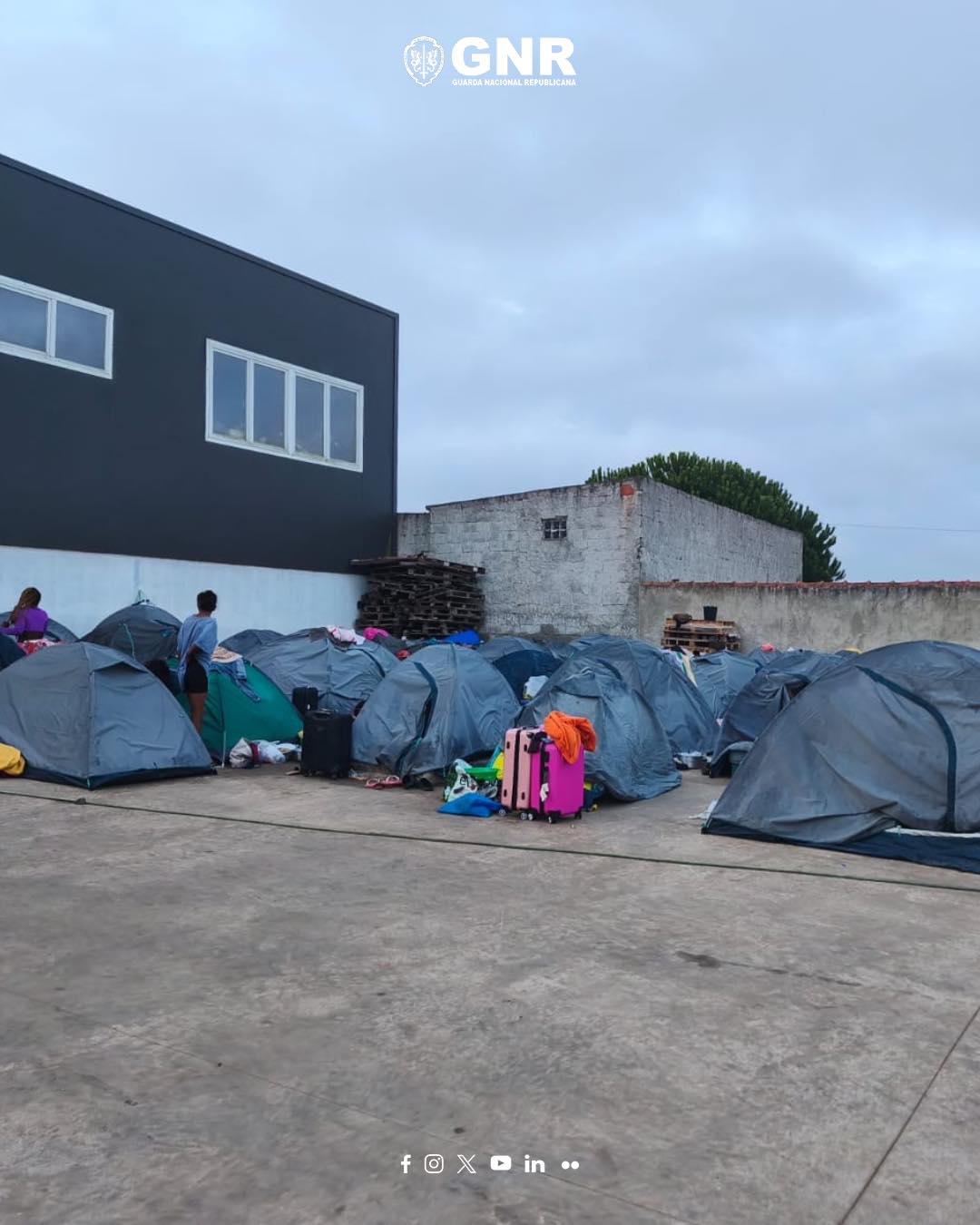 GNR encontrou 69 imigrantes a dormir em tendas na apanha da pera no Cadaval
