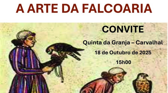 Bombarral : A arte da falcoaria em destaque no Carvalhal