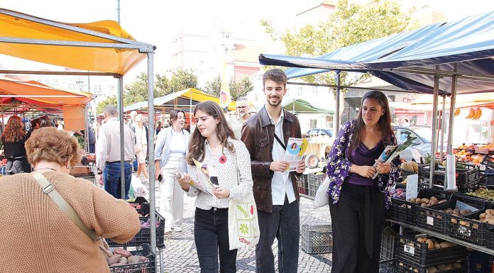 Porta-voz nacional do Livre acompanhou candidatos em campanha na Praça da Fruta