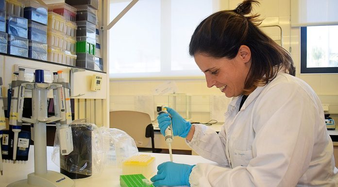 “As algas têm uma grande aplicação”