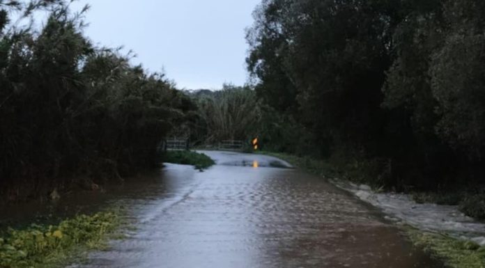 Mau tempo já provocou 46 ocorrências na região, com maior incidência em Alcobaça