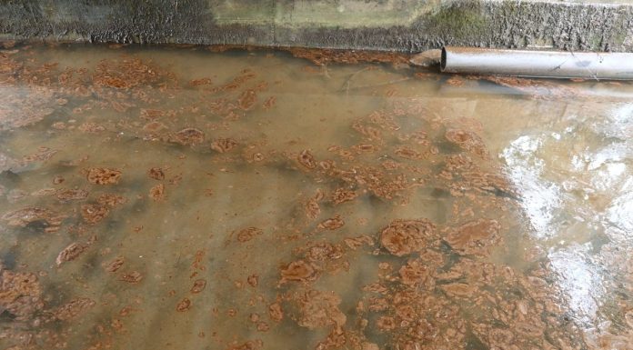 Derrame em Valado dos Frades mobiliza quase três dezenas de operacionais