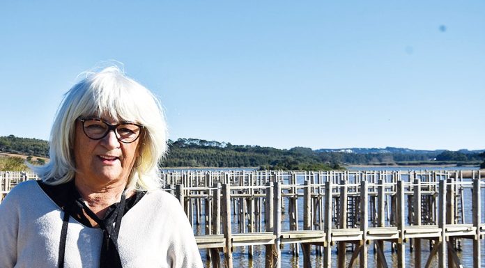 Jesus Fernandes – A bióloga que fez da educação ambiental a sua bandeira 1 ff jesusfernandes2025