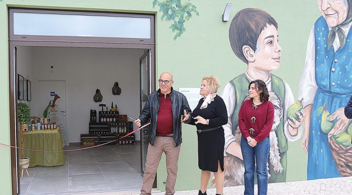 Inaugurado novo parque temático da Pera Rocha 1 img 5802