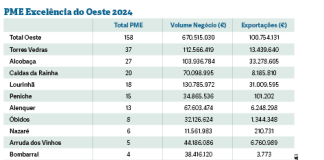 captura de ecrã (108)