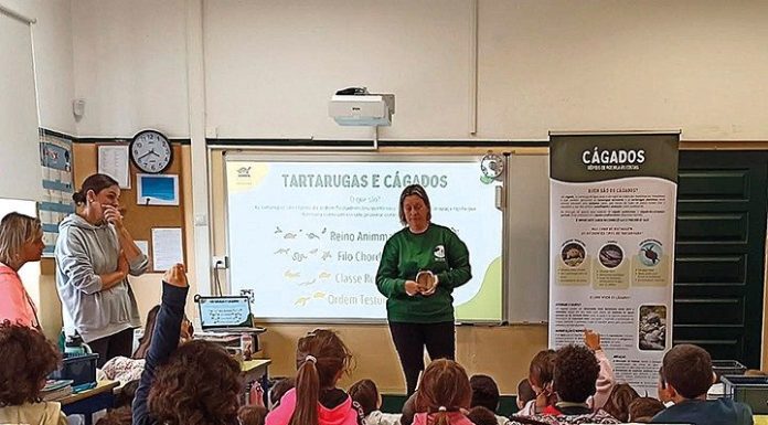 PATO “preocupada” com perda de docente destacada