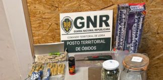 gnr de leiria apreensão