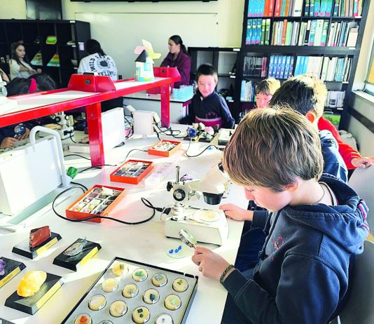 radar feira ciencia crdl 2025 dr