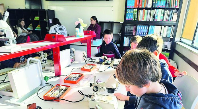 Feira da Ciência CRDL comemorou cultura científica radar feira ciencia crdl 2025 dr