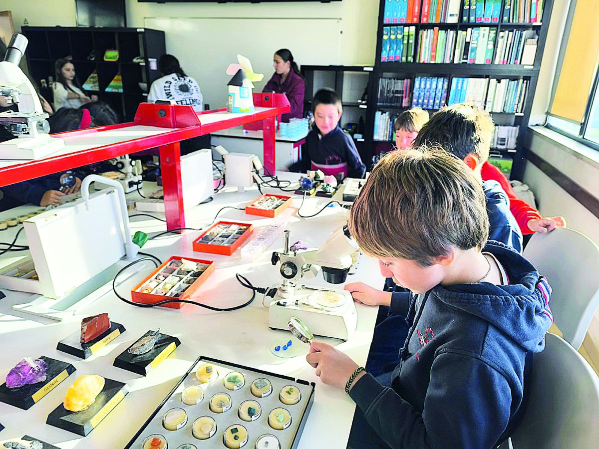 Feira da Ciência CRDL comemorou cultura científica