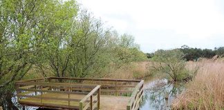 txt2 fotopaultornadaisaquevicente