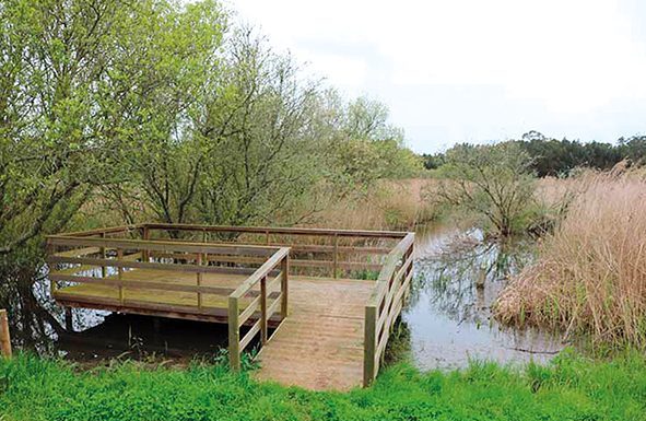 Paul de Tornada é reconhecido como Zona Húmida há mais de duas décadas txt2 fotopaultornadaisaquevicente