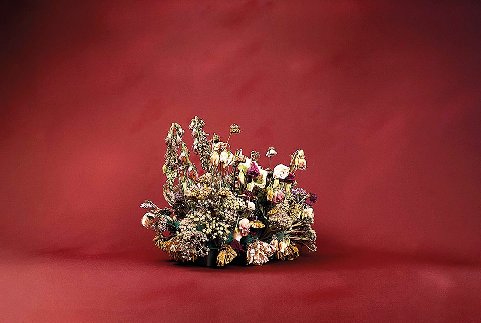 “Contranatura” abre a 10 de janeiro no CCC