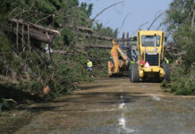Kristin provocou “dezenas de desalojados” em Alcobaça