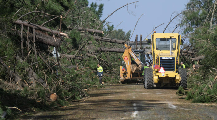 Kristin provocou “dezenas de desalojados” em Alcobaça