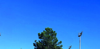 Ténis: CT-Caldas é vice campeão regional do sub 18