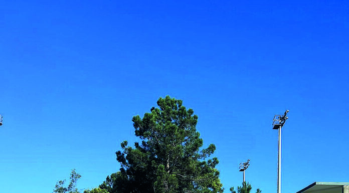 Ténis: CT-Caldas é vice campeão regional do sub 18