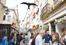 Caldas vai defender prémio em Bruxelas