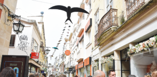 Caldas vai defender prémio em Bruxelas