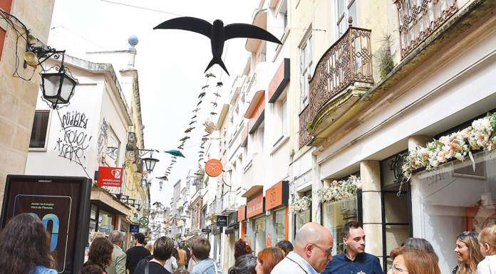 Caldas vai defender prémio em Bruxelas