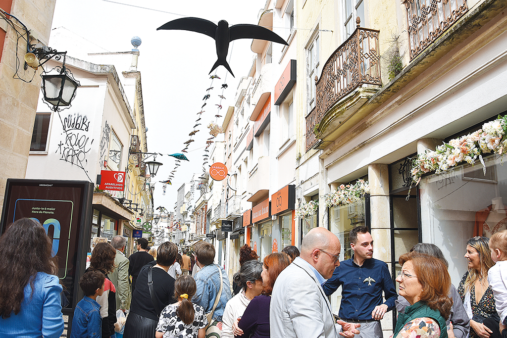 Caldas vai defender prémio em Bruxelas