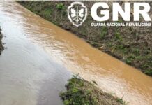 Avaria em ETARI de destilaria provoca descarga ilegal de águas residuais no Bombarral