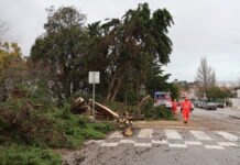 Depressão Kristin provoca estragos nas Caldas da Rainha