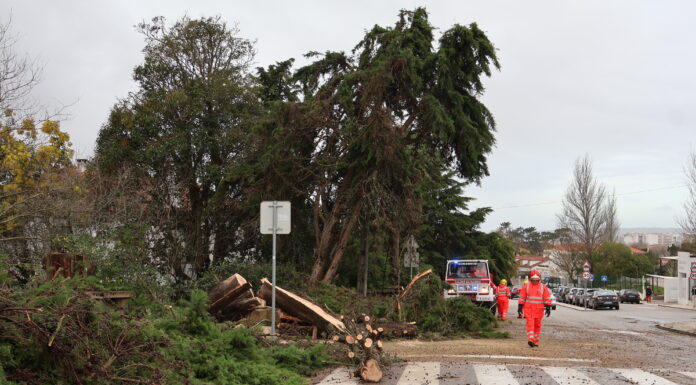 Câmara das Caldas aciona Plano Municipal de Emergência e Proteção Civil