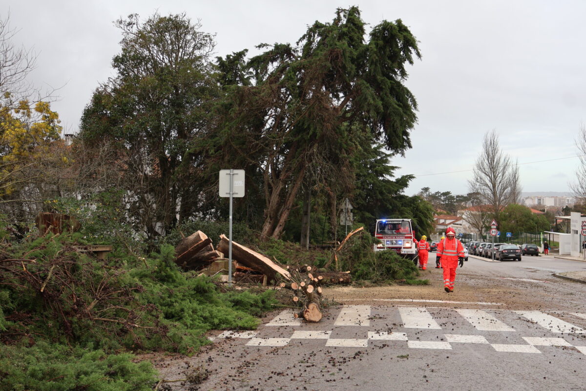 Depressão Kristin provoca estragos nas Caldas da Rainha