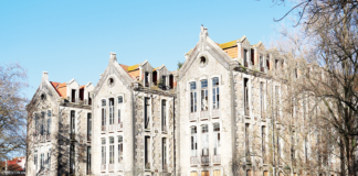 LIVRE quer Casa da Criação nos Pavilhões do Parque