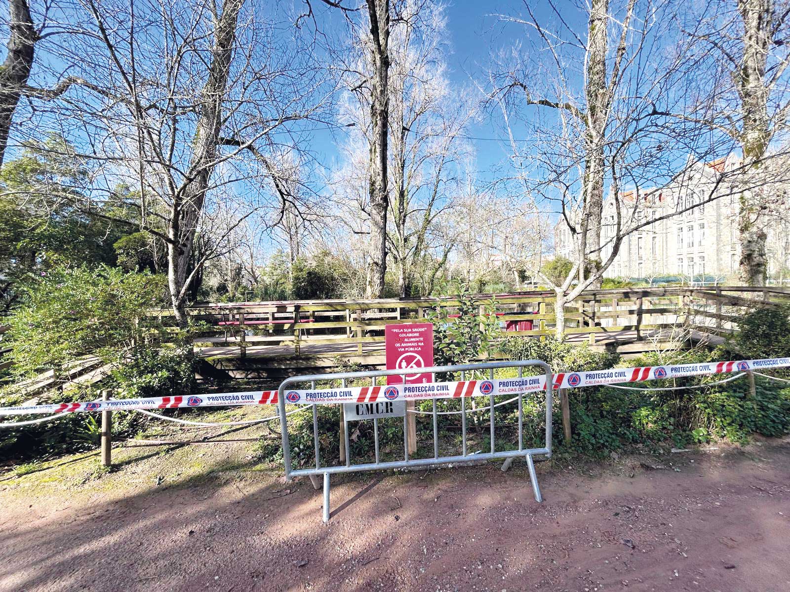 Gripe das Aves coloca vários concelhos em alerta