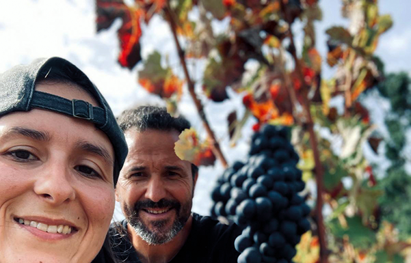 Vinhos Espera somam altas pontuações de críticos internacionais