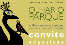 Alunos da Bordalo Pinheiro inauguram exposição “Olhar O Parque” no CCC