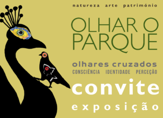 Alunos da Bordalo Pinheiro inauguram exposição “Olhar O Parque” no CCC