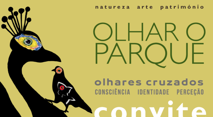 Alunos da Bordalo Pinheiro inauguram exposição “Olhar O Parque” no CCC