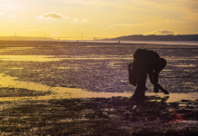 Fotografia no Mercado do Peixe